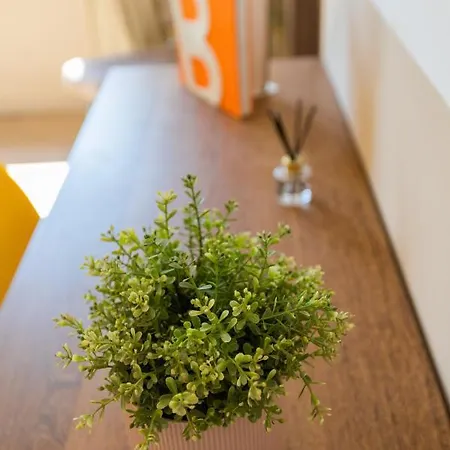 Nona Urban Lodging Oda ve Kahvaltı Braga